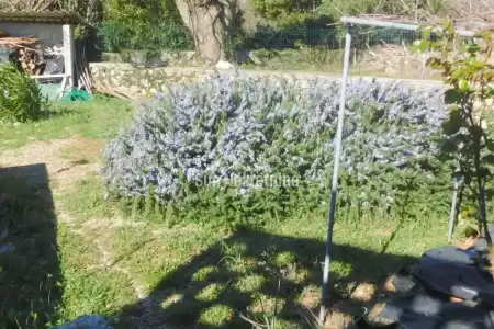 TRGET, ISTRIA, HOUSE IN THE SURROUNDINGS WITH SEA VIEW