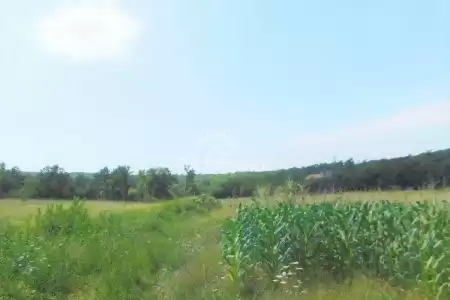 ROGOČANA, LABIN, ISTRIA, LARGE AGRICULTURAL LAND