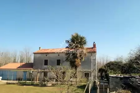 LABIN, ISTRIA, CASA INDIPENDENTE IN PIETRA SU GRANDE PROPRIETA' DI 48000 M2