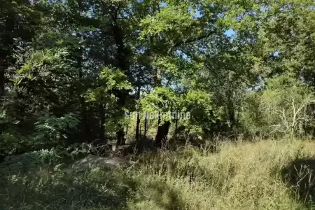 ISTRIEN, NATURPARK UČKA, HAUS IM DORF MIT GROSSEM HOF