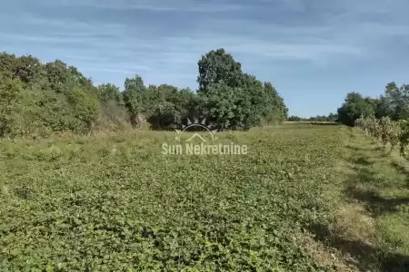 LABIN, ISTRA, GRAĐEVINSKO ZEMLJIŠTE U OKOLICI GRADA