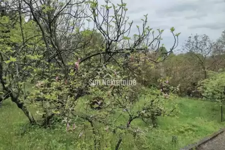 PAZIN, ISTRA, SAMOSTOJEĆA OBITELJSKA KUĆA SA DVA STANA