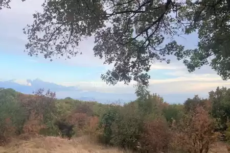 SKITAČA, ISTRA, GRAĐEVINSKO ZEMLJIŠTE SA POGLEDOM NA MORE, PRILIKA !