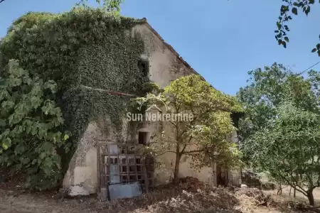 PIĆAN, ISTRIA, ISTRIAN STONE HOUSE FOR RENOVATION IN THE SURROUNDING VILLAGE