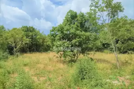 VIŠKOVIĆI, LABIN, ISTRIA BUILDING LAND, FROM THE SEA 1 KM, 40 EUR / M2