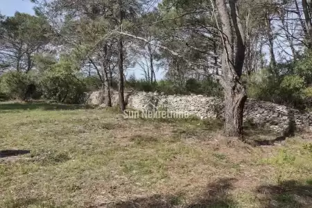 VODNJAN, ISTRIA, LARGE AGRICULTURAL LAND OF REGULAR SHAPE