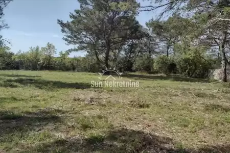 VODNJAN, ISTRIA, LARGE AGRICULTURAL LAND OF REGULAR SHAPE