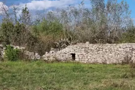 VODNJAN, ISTRIA, AMPIO TERRENO AGRICOLO DI FORMA REGOLARE